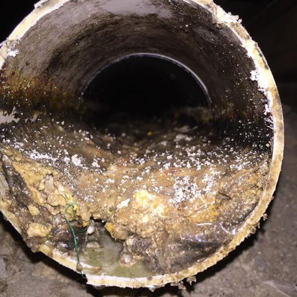 clearing blocked drains with bicarbonate of soda